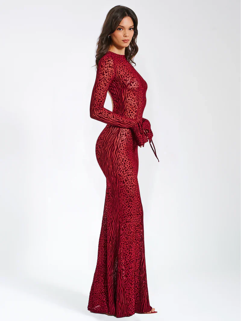 Lariza Elegant Gown
